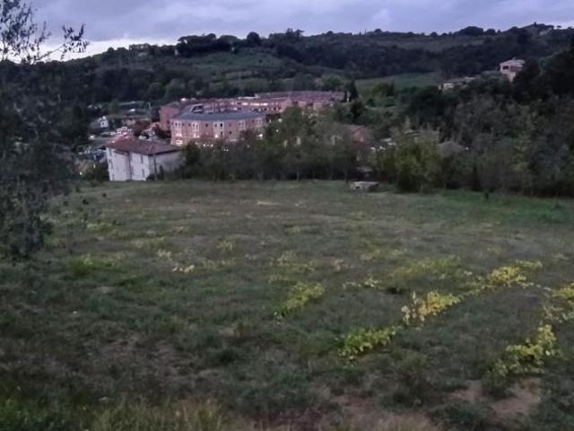 SIENA vendesi terreno AGRICOLO localit COLONNA SAN DI 20000 MQ