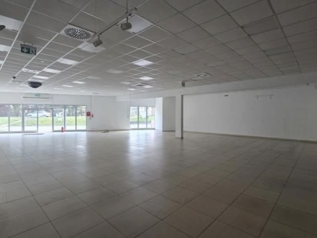 Sienkiewicza 403,20 m², Grodków