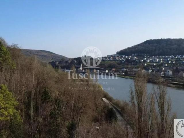 Sierck les Bains – Propriété historique 220 m² sur 2,7 ha – Vue Moselle – Sans voisin