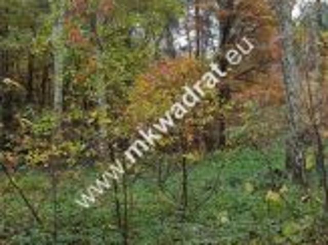 Siestrzeń, www.mkwadrat.eu, 1700 m² Działka