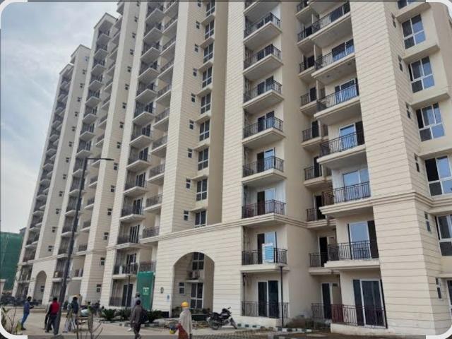 Signature Global Prime 2 Bedroom 572 Sq. Ft. Apartment in Sector 63a Gurgaon Listing ID: #9920