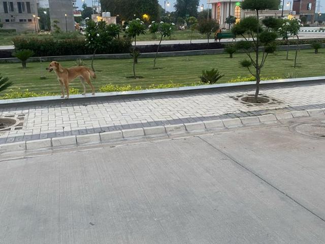 Signature Global Sector 2 136 Sq. Yd. Plot in Sector 28 Karnal Listing ID: #8872