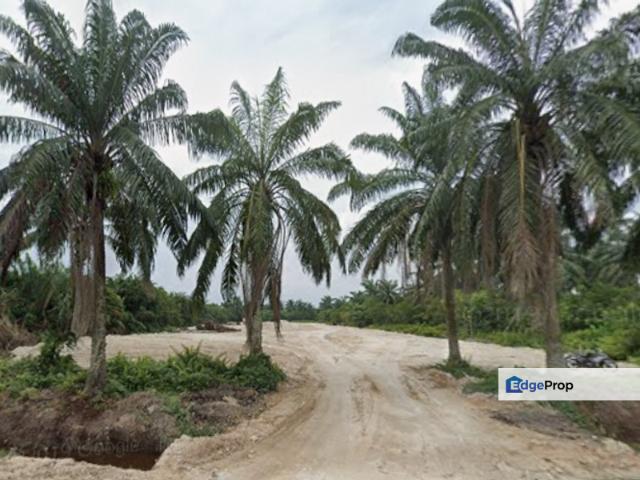 Sijangkang land for rent