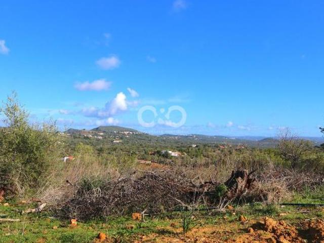 Silves Algarve 42717214
