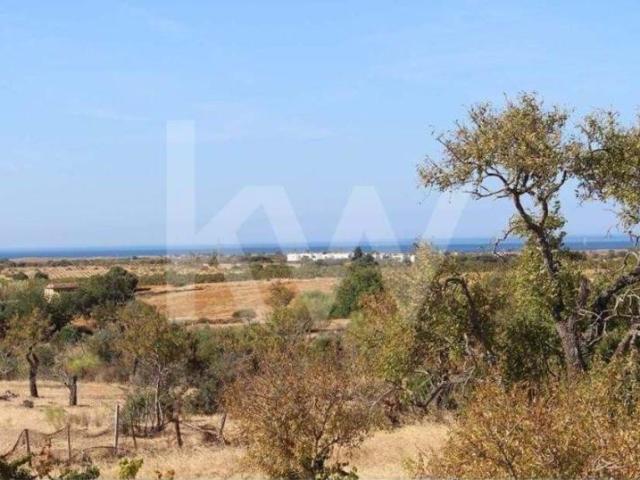 Silves Algarve 79782595