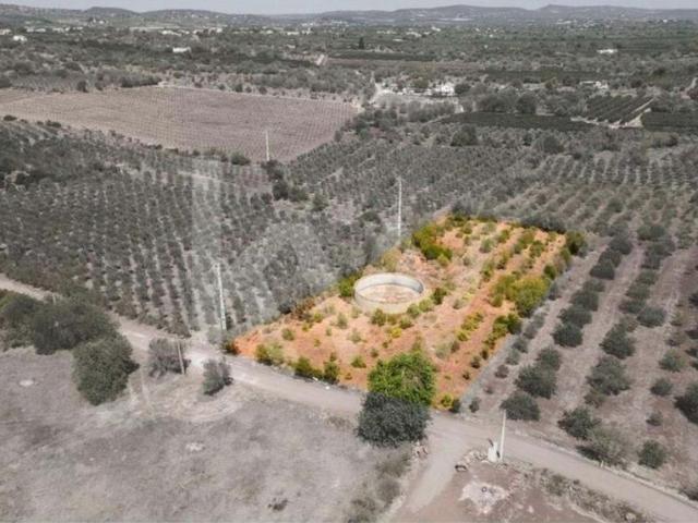Silves Algarve 79782667