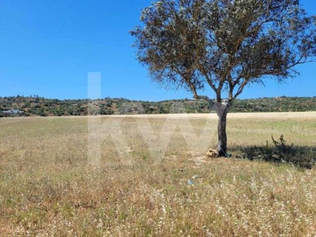Silves Algarve 79782700