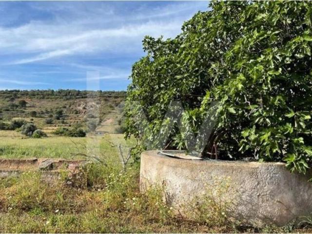 Silves Algarve 79782712
