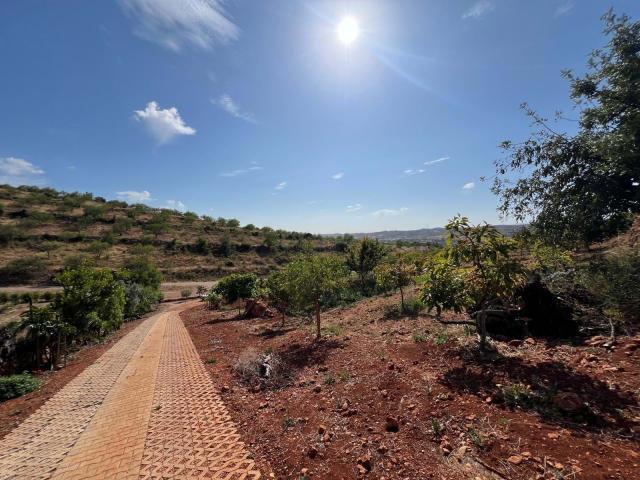 Silves Algarve 85276498