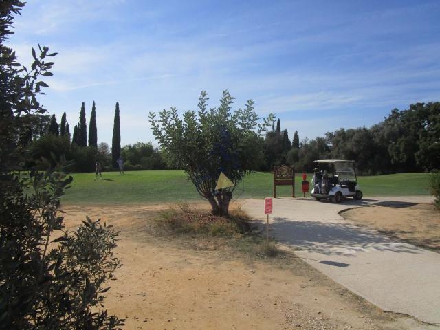 Silves Algarve 85572241
