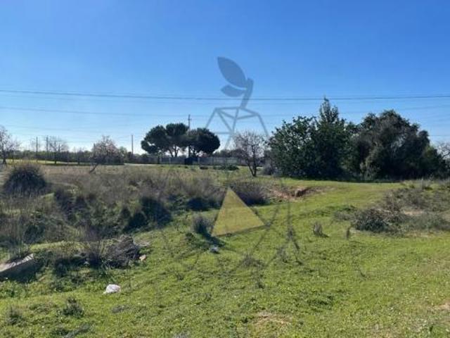 Silves Algarve 85572247