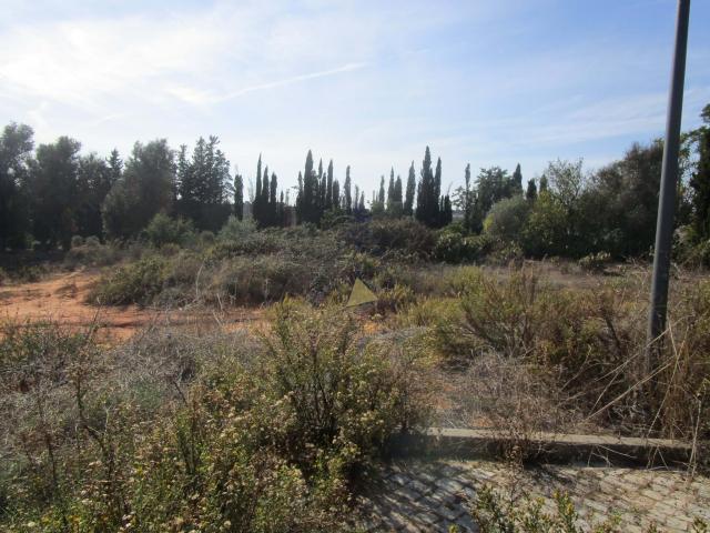 Silves Algarve 85572245