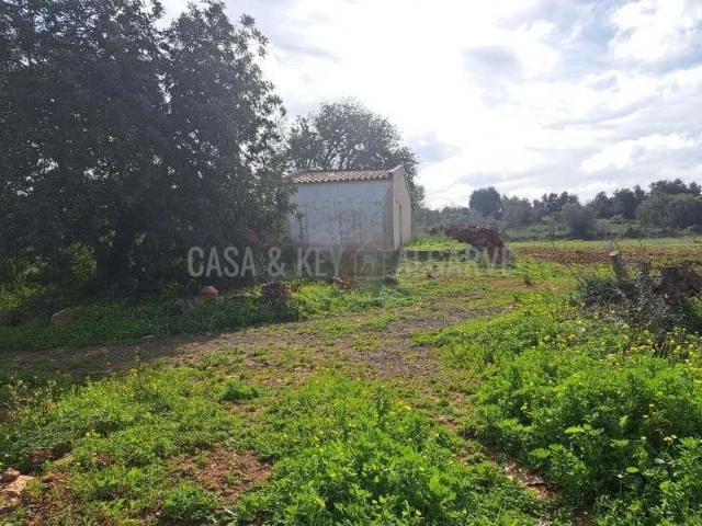 Silves Algarve 86008230