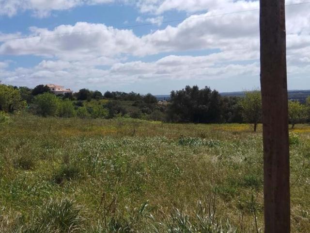 Silves Algarve 91068084