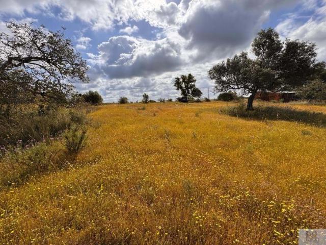 Silves Algarve 91156840