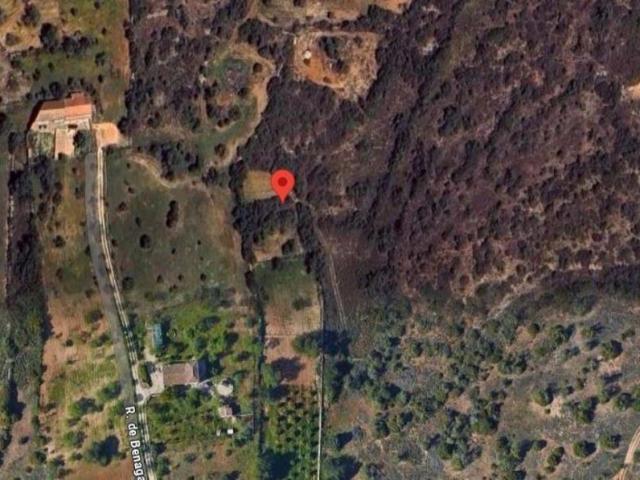 Silves Algarve 91354301