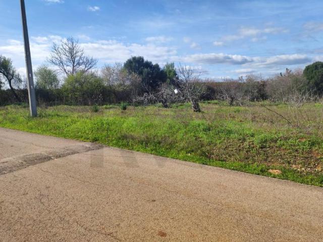 Silves Algarve 94041375