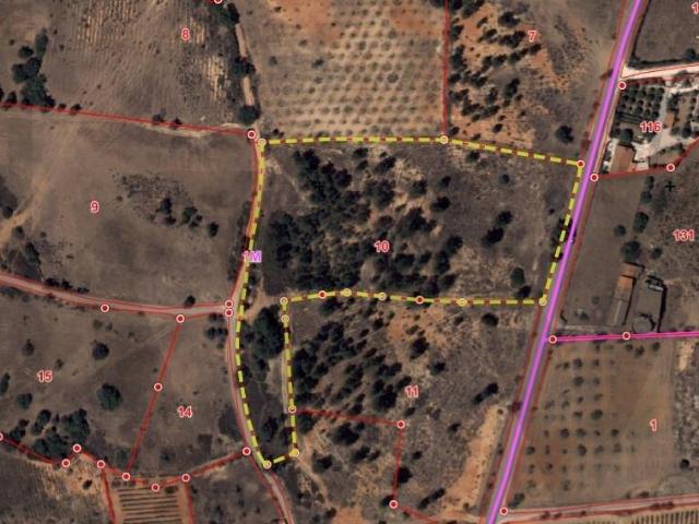 Silves Algarve 96175870