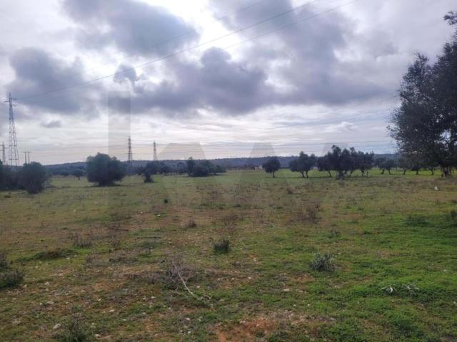 Silves Algarve 96916065
