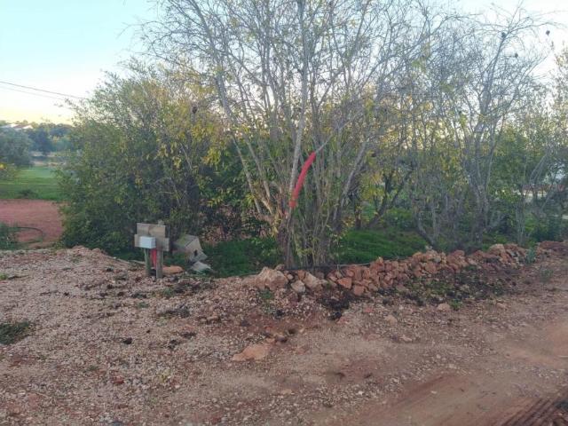 Silves Algarve 97633073