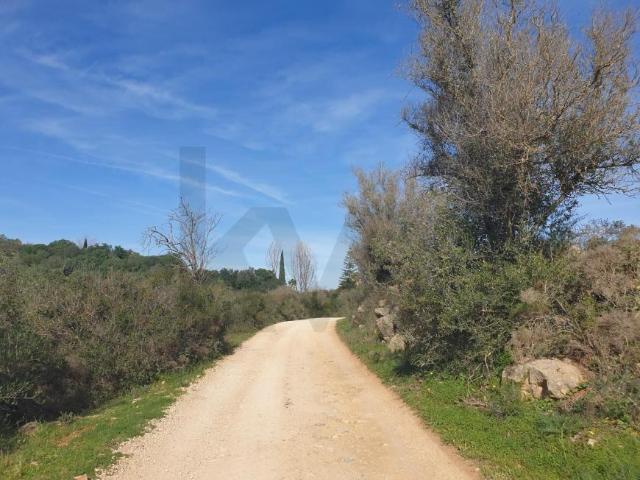 Silves Algarve 98364985