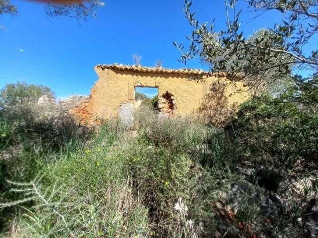 Silves Algarve 99464210