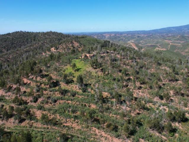 Silves Algarve 99723094