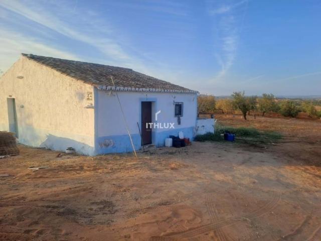 Silves Algarve 99723727