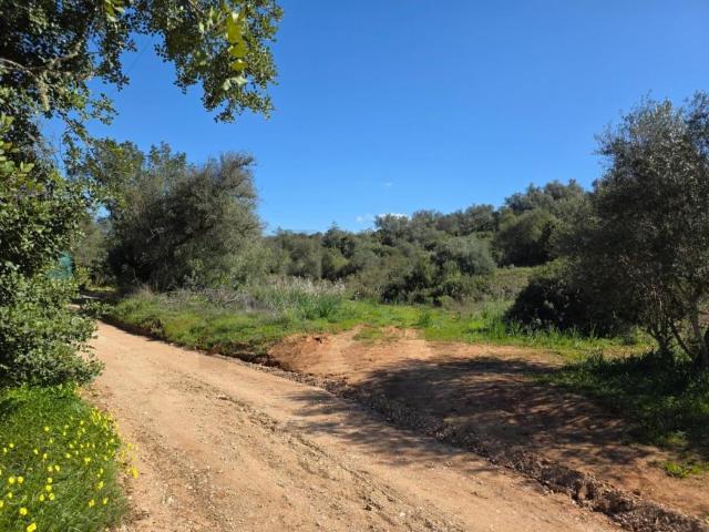 Silves Algarve 100094237