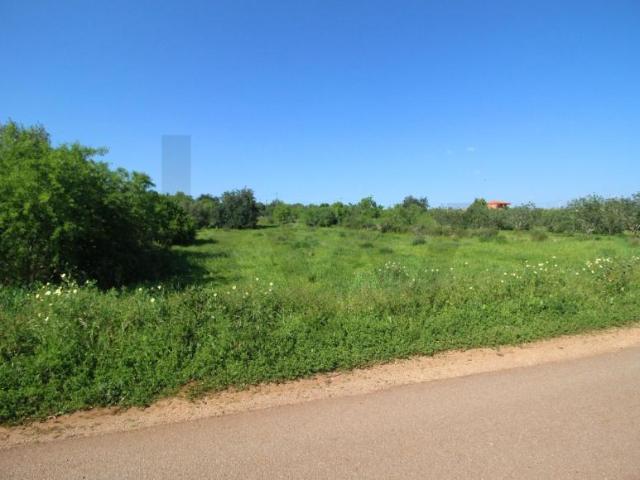 Silves Algarve 101460463