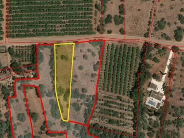 Silves Algarve 101746158
