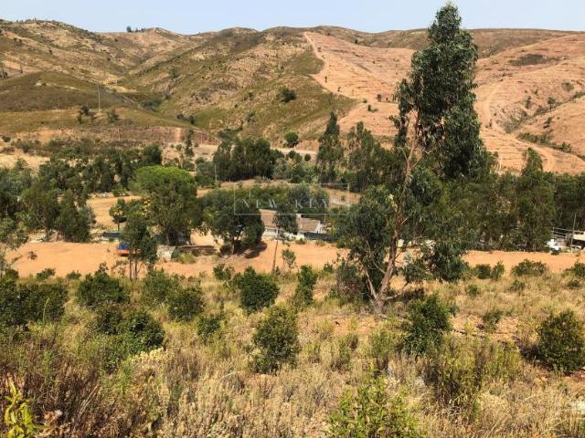 Silves Algarve 102640596