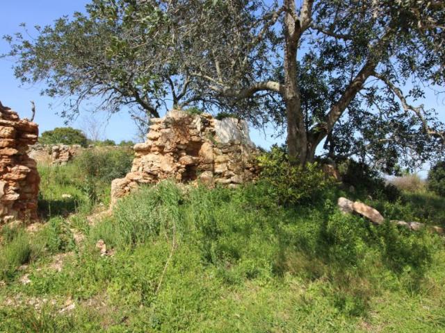 Silves Algarve 103032318
