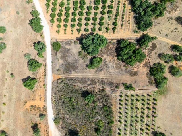 Silves Algarve 103358175
