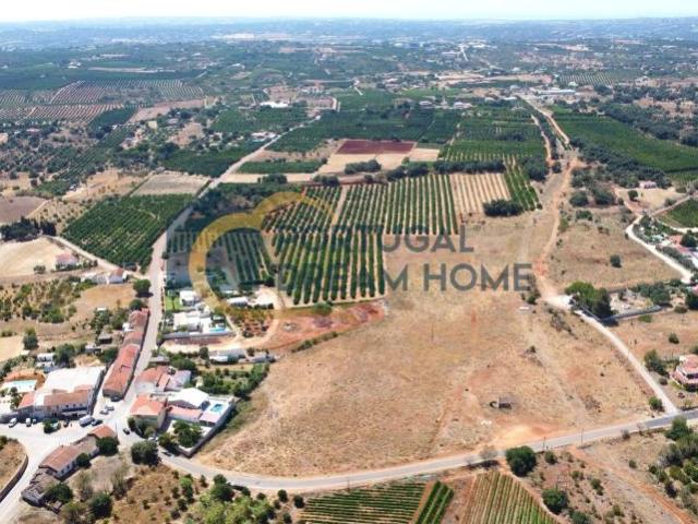 Silves Algarve 105524968