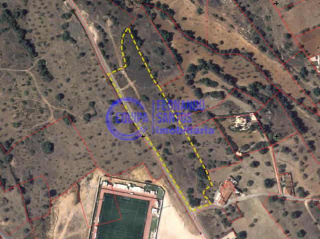 Silves, Armação de Pera