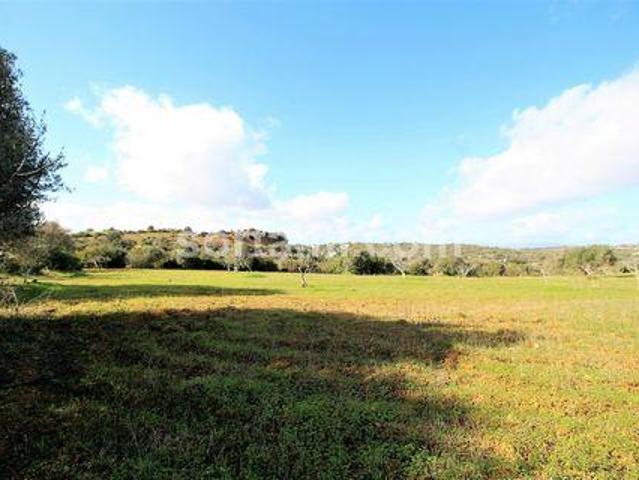 Silves Faro 97113194