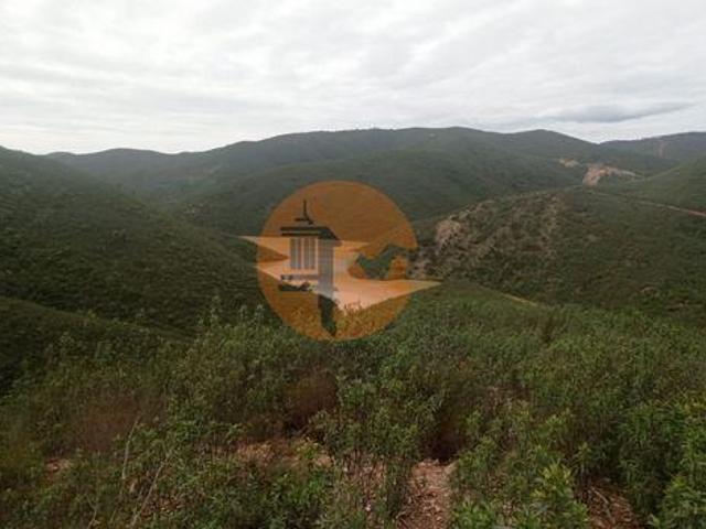 Silves Faro 100316641