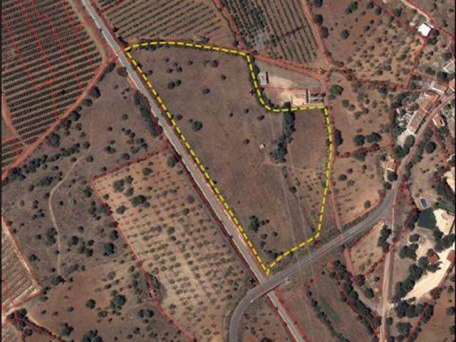 Silves Faro 104405284