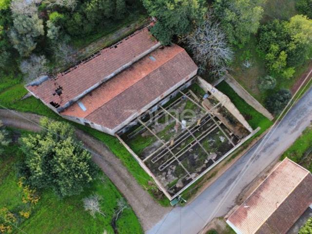 Silves Silves LS97115685