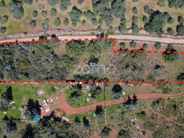 Silves Silves 100219026