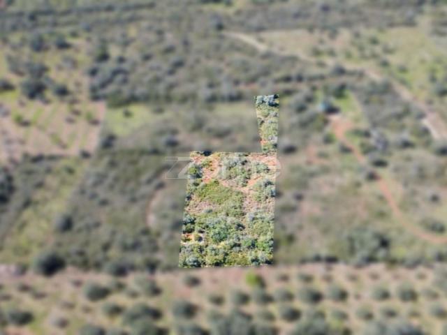 Silves Silves 101065575