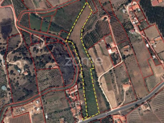 Silves Silves 101645398