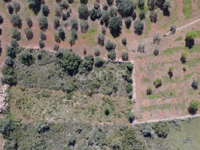 Silves Silves 102261962