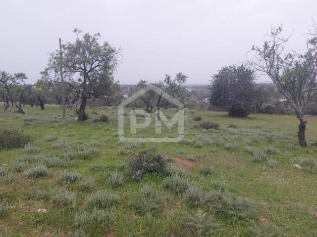 Silves Silves 103505910