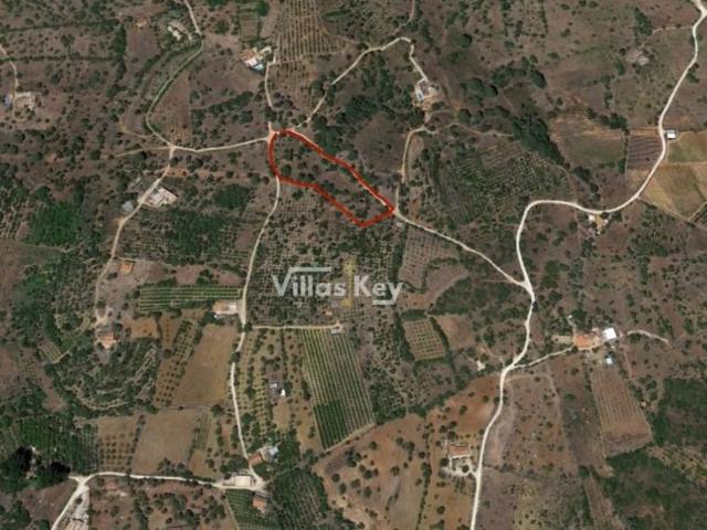 Silves Silves 104952945