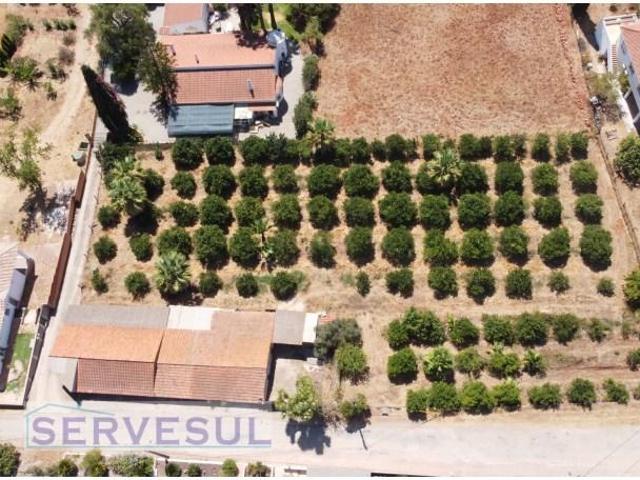Silves Silves 93245200