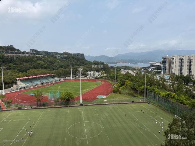 Silicon Hill #3795 租盤樓盤詳細資料