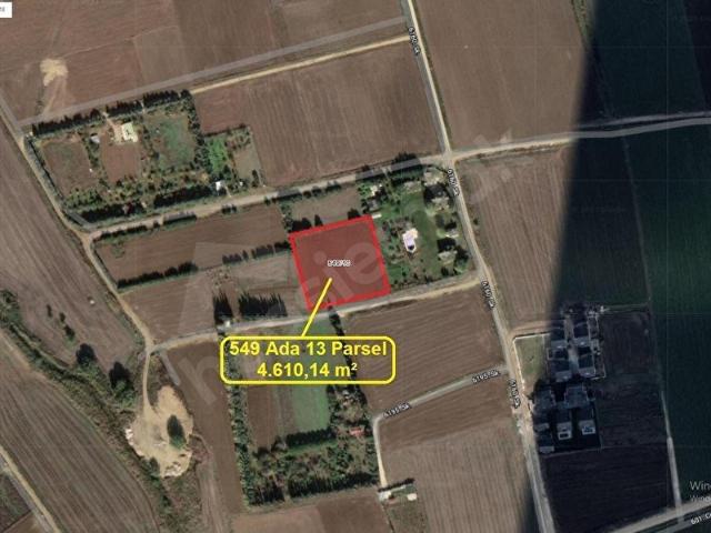 Silivri Selimpaşa'da 4.610 m Konut İmarlı Arsa