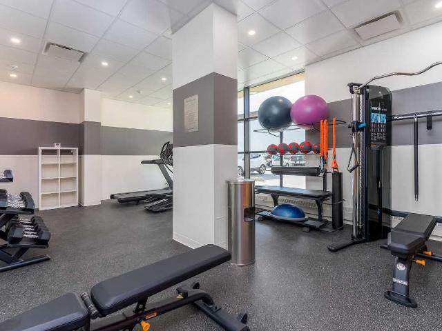 Sir William Place 2 Bedroom Apartment for Rent at 8830 85 St Nw, Edmonton, AB T6C 3C3 Bonnie Doon
